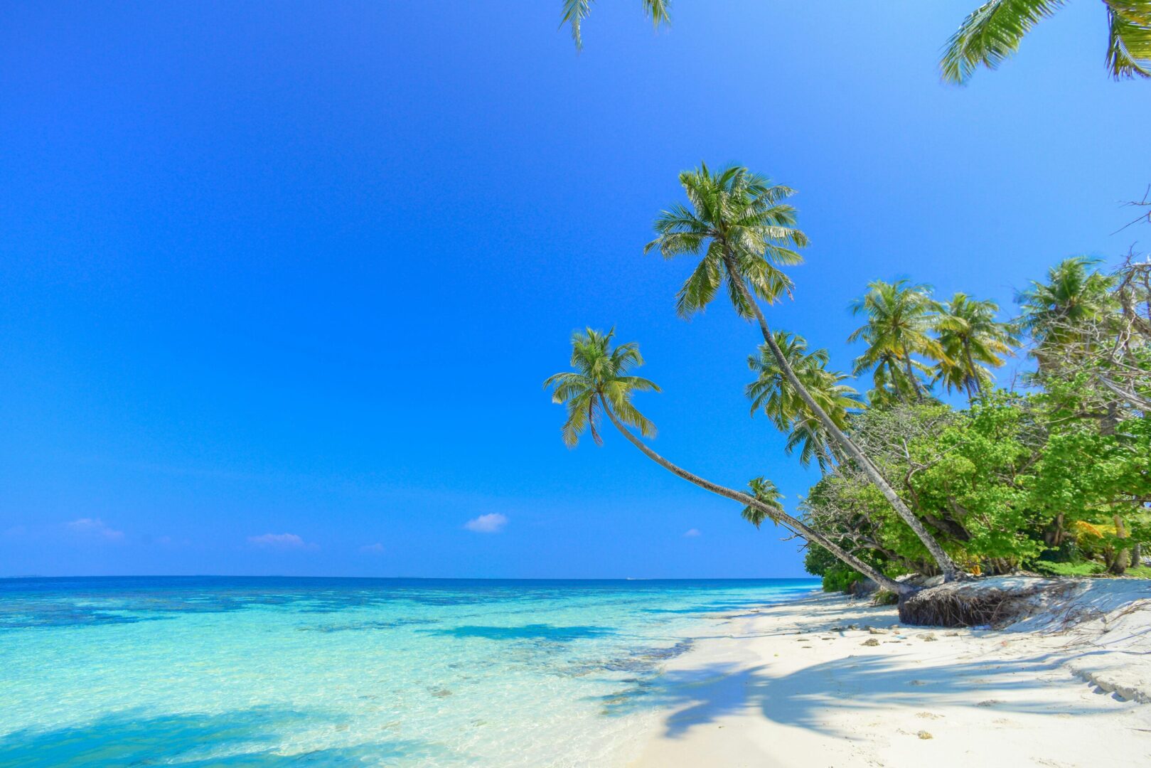 zomer vacatures logistiek